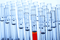Forum Prozesschromatographie